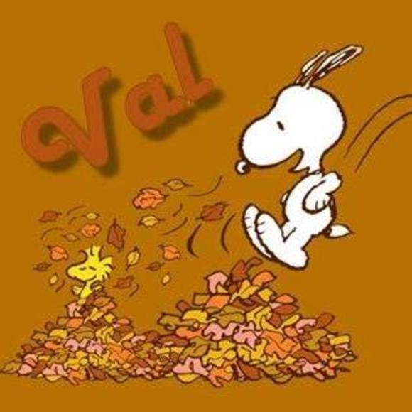 Meet your Posher, Val - Picture 1 of 1